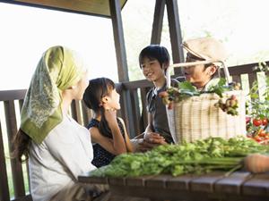 東京での特別な体験を演出！魅力溢れる屋形船でのクルーズをご紹介